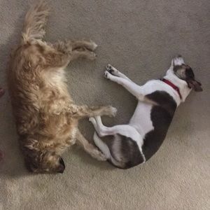 Meet your Posher, Timothy